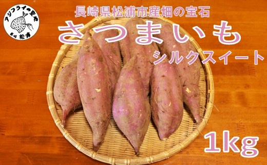 【長崎県松浦市産】畑の宝石 さつまいも(シルクスイート) 1kg ( さつまいも シルクスイート 長崎県松浦市産 長崎県産 )【A4-001】