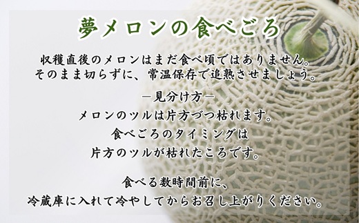 1.4?以上！大玉アールスメロン　夢メロン2玉入り( メロン 大玉 夢メロン アールスメロン )【B0-202】