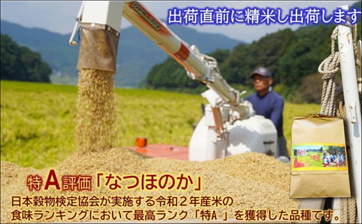 【令和7年産】松浦の寒暖差が味の決め手!特A評価獲得の品種「なつほのか」棚田浮立の里のお米10kg( コメ 米 なつほのか 白米 精米 国産 送料無料 )【C7-032】