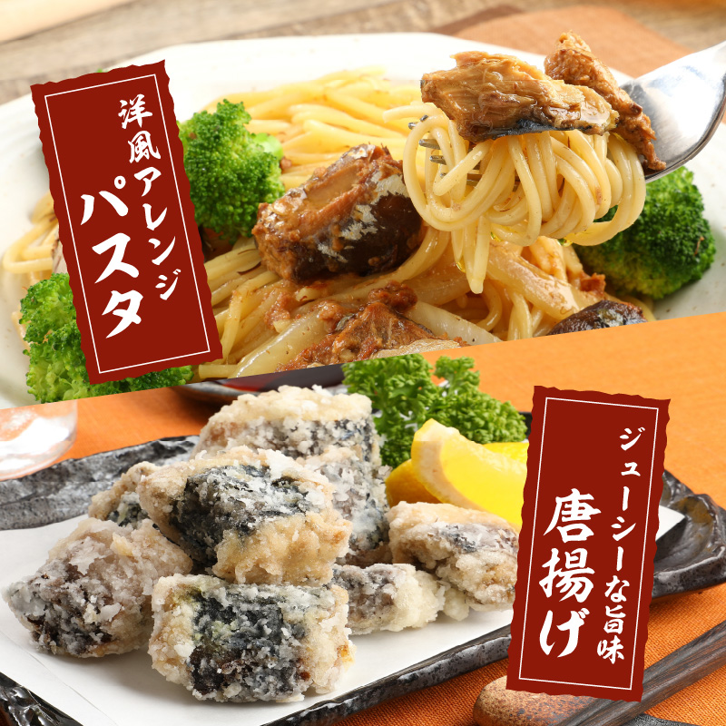 さば味付缶セット(12缶)( さば サバ 鯖 さば缶 サバ缶 非常食 保存食 簡単調理 保存食 非常食 防災 備蓄 長期保存 )【B2-109】