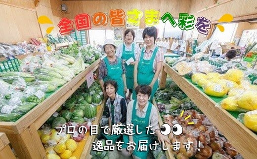 季節の野菜詰め合わせ( 季節 野菜 旬 安心 新玉ねぎ トマト じゃがいも 白菜 キャベツ きゅうり )【A9-009】