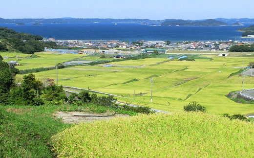 【A8-008】つづら水源の森を流れる水が育む松浦の米　「ヒノヒカリ又はコシヒカリ」石倉の誉5kg