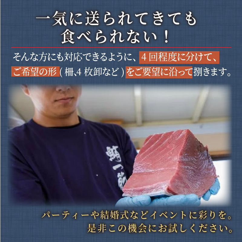 é·¹å³¶ç£æ¬ãŸããå®æäŸ¿ïŒ1æ¬åïŒ( æ¬ãã°ã 倧ãã äžãã 赀身 æµ å®æäŸ¿ æµ·é®® æ¬ãã°ã )ãT00-001ã