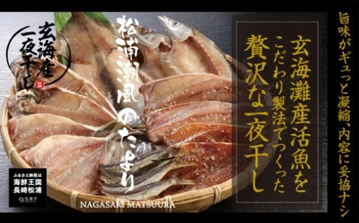 【B0-150】松浦・潮風のたより 魚 干し物 アジ サバ カマス イカ あご 海鮮 