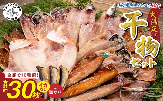 松浦・潮風のたより Ｂｉｇ(イカなし＆サバ増量) ( 松浦市 アジ サバ カマス レンコダイ 干物 アジ開き サバフィレ 一夜干し 詰め合わせ )【B5-129】