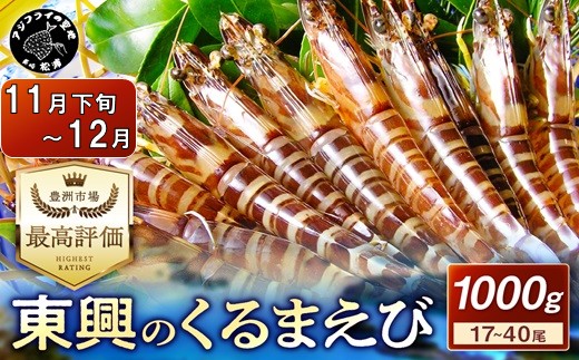 【宅配BOX不可】東興のくるまえび1kg入【11月下旬〜12月発送】( くるまえび 東興のくるまえび 車海老 海老 エビ )【D5-010-12M】