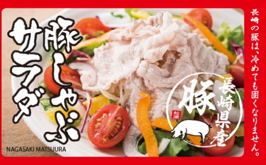 【B0-156】長崎県産豚肉切り落とし1kg(250g×4パック) 長崎県産豚 野菜炒め 豚キムチ 豚汁 料理の強い味方 豚 豚肉 豚切り落とし