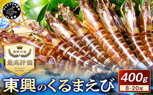 【先行予約】【宅配BOX不可】東興のくるまえび400g入【B6-029】車海老 くるまえび 車えび 活きくるまえび 活き車えび えび エビ 養殖 刺身 塩焼き 天ぷら 常温 贈答用 松浦市 送料無料