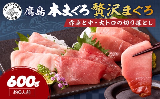 鷹島産本まぐろ 贅沢まぐろ たっぷり2人前(赤身と中・大トロの切り落とし200g)×3パック( まぐろ マグロ 鮪 大トロ 中トロ 赤身 本まぐろ 切り落とし 簡単解凍 )【B8-042】