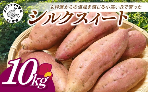 【長崎県松浦市産】畑の宝石 さつまいも(シルクスイート) 10kg ( さつまいも シルクスイート 長崎県松浦市産 長崎県産 )【B4-136】