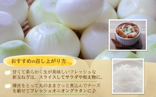 JRä¹å·ãã¡ãŒã ã® æ°çãã 10kg( çãã çã éè æ°çãã éè åœç£ éæç¡æ )ãB7-036ã