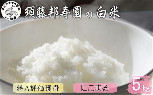 【令和7年産】須藤邦寿園の白米 通算9回特A獲得米 にこまる5kg( 米 コメ お米 にこまる 5kg 5キロ 甘い 甘み 粘り 精米 国産 送料無料 )【B5-127】