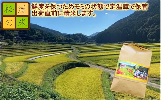 【令和6年産米】【3か月定期便】お弁当屋さんが太鼓判！棚田浮立の里のお米10kg×3回「夢しずく」【E2-007】米 お米 ご飯 白米 定期便 松浦産 10キロ 長崎県 松浦市 夢しずく