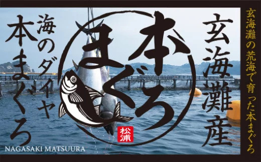 鷹島産最高級本まぐろ まぐろ丼のたれ付き(1kg)( まぐろ 大トロ 中トロ 本マグロ 鷹島 ネギトロ おすそ分け 贈り物 )【E5-003】