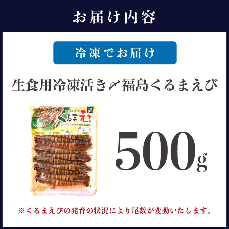 生食用冷凍活き〆福島くるまえび500g( 車海老 車エビ クルマエビ くるまえび えび エビ 海老 生食用 甲殻類 海産物 お刺身 冷凍 活き車えび )【B2-134】