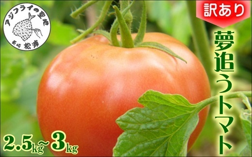 訳あり！ご家庭用に大活躍　夢追うトマト2.5kg〜3kg( トマト とまと ジューシー リコピン 期間限定 松浦市 松浦産 大玉トマト 訳ありトマト )【A7-068】