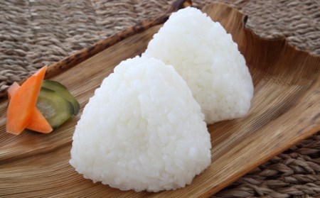 ç±³5kgãšåµ20åä»ãïŒéèã®è©°ãåããå®æäŸ¿10å(äžæ¬)ãå®æäŸ¿ã( ç±³ ã飯 ãç±³ çœç±³ 5ãã åµ ããŸã ã¿ã㎠éè è©°ãåãã å®æäŸ¿ å£ç¯ã®éè æ¬ ä¹å· æŸæµŠåž )ãK00-009ã