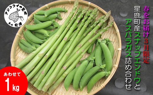 ★2026年春3月お届け★星鹿町産スナップエンドウとアスパラガス詰め合わせ1kg( スナップエンドウ スナップえんどう アスパラガス 新鮮 松浦市 )【A9-041】