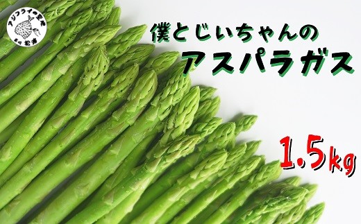 【B1-127】僕とじいちゃんのアスパラガス1.5kg アスパラガス 朝採れ新鮮 新鮮 野菜 期間限定