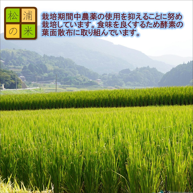 《生活応援企画》松浦の寒暖差が味の決め手!特A評価獲得の品種「なつほのか」棚田浮立の里のお米10kg( コメ 米 なつほのか 白米 精米 国産 送料無料 )【B8-047】