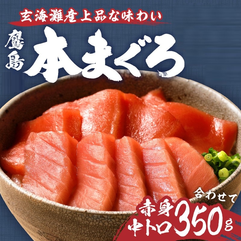 鮃ケ蟲カ譛ャ縺セ縺舌m譟オ(襍、霄ォ繝サ荳ュ繝医Ο) 蜷医o縺帙※350g( 繝槭げ繝ュ 縺セ縺舌m 荳ュ繝医Ο 襍、霄ォ 譛ャ縺セ縺舌m 謇玖サス 縺翫▽縺セ縺ソ 譟オ 豬∵ーエ隗」蜃 )縲殖4-127縲