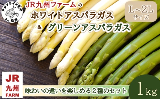 JR九州ファームのホワイトアスパラガス＆グリーンアスパラガス L～2Lサイス 1kg ( アスパラガス ホワイトアスパラガス グリーンアスパラガス 国産 送料無料 長崎県 松浦市 )【B3-102】