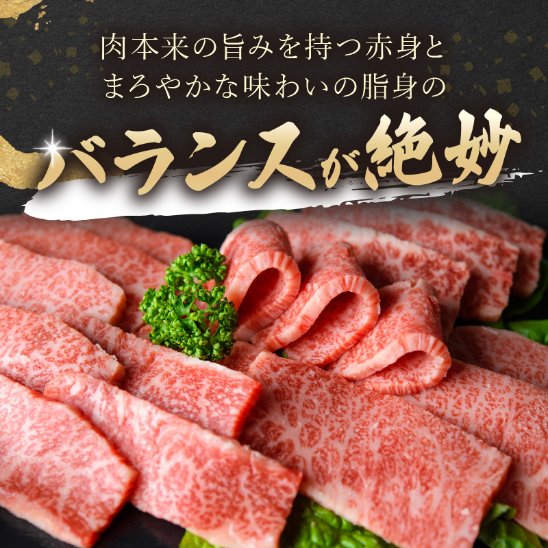 訳あり！【A4～A5】長崎和牛焼肉切り落とし(肩ロース・バラ)1kg(500g×2P)【B8-017】牛肉 おすすめ 長崎和牛 バーベキュー 焼肉 切り落とし 冷凍 国産 送料無料