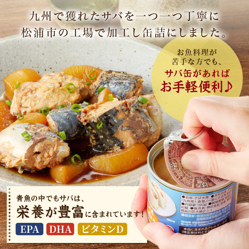 さば水煮缶セット(24缶)( サバ さば 鯖 缶詰 非常食 保存食 海鮮 さば缶 肴 おかず 栄養 健康 )【C4-007】