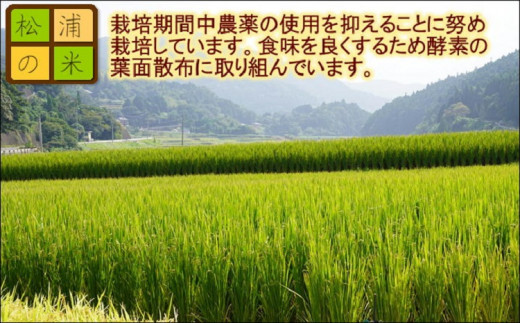 【令和6年産米】お弁当屋さんが太鼓判！棚田浮立の里のお米10kg「夢しずく」( 米 コメ 白米 夢しずく 精米 送料無料 )【B4-020】