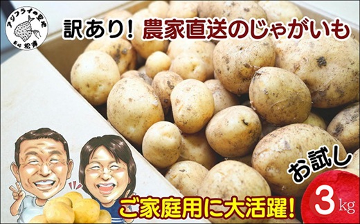 訳あり！農家直送のじゃがいも お試し3kg ( 訳あり じゃがいも いも 肉じゃが サラダ フライドポテト カレー シチュー 煮物 )【A6-042】