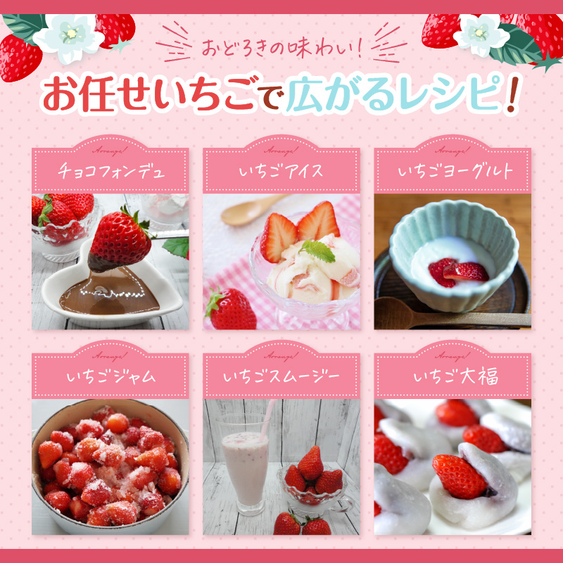 こだわり苺 品種お任せ小箱8粒～10粒×2パック(1月発送)( いちご 苺 イチゴ 紅ほっぺ かおり野 さがほのか 恋みのり 果物 フルーツ )【B0-236-01M】