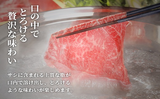 [一括納品]【和牛セレブ】長崎和牛半頭分買い （ 長崎和牛 和牛 セミオーダー 焼肉 すき焼き）【Y00-001】