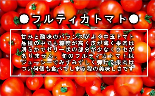 【A9-013】期間限定　大切に育てたフルティカトマト1.2kg トマト とまと ジューシー リコピン 期間限定 松浦市 松浦産 フルティカトマト