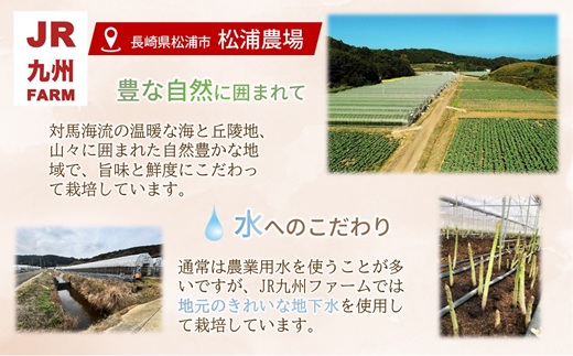JR九州ファームのホワイトアスパラガス L～2Lサイズ 1kg ( アスパラガス ホワイトアスパラガス 国産 送料無料 長崎県 松浦市 )【B3-101】