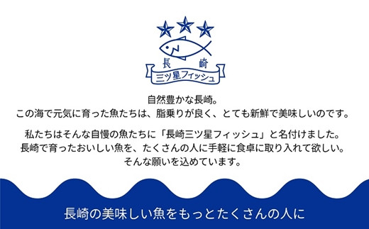 【B2-123】鯛だし万能すーぷ付！ハーブ仕立ての鯛しゃぶセット工場直送たっぷり3人前 真鯛 ハーブ 鯛だし 凝縮 鯛しゃぶ カルパッチョ パスタ ハーブ飼料