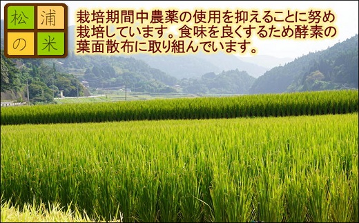 【令和6年産米】【3か月定期便】お弁当屋さんが太鼓判！棚田浮立の里のお米10kg×3回「夢しずく」【E2-007】米 お米 ご飯 白米 定期便 松浦産 10キロ 長崎県 松浦市 夢しずく