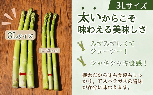 JR九州ファームのグリーンアスパラガス 3Lサイズ 1kg ( アスパラガス グリーンアスパラガス 国産 送料無料 長崎県 松浦市 )【B5-131】