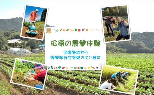 農漁村体験の聖地「松浦党の里」旬の野菜セット( 野菜 旬 旬の野菜 野菜詰め合わせ 地元野菜 地元食材 松浦産 )【B2-162】