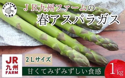 JR九州ファームの春アスパラガス　2Lサイズ1kg【B2-153】 野菜 新鮮 アスパラガス アスパラ 春アスパラ 甘み