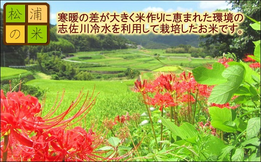 【令和6年産米】【3か月定期便】お弁当屋さんが太鼓判！棚田浮立の里のお米10kg×3回「夢しずく」【E2-007】米 お米 ご飯 白米 定期便 松浦産 10キロ 長崎県 松浦市 夢しずく