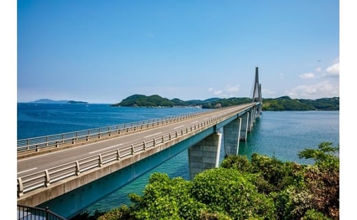 鷹島産最高級本まぐろ　大中合わせて400g(まぐろ丼たれ付き)【C5-003】 ふるさと納税 まぐろ 大トロ 中トロ