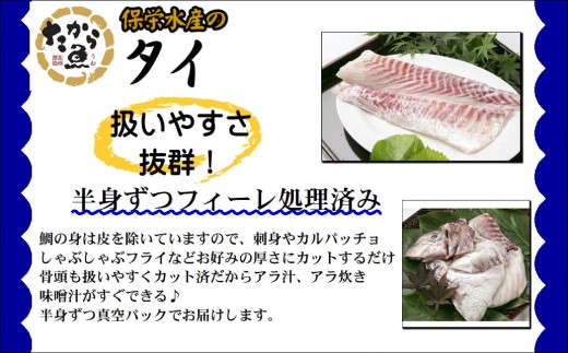 鷹島のおいしかタイ1.2kg( 鯛 お刺身 煮つけ 塩焼き 様々な料理 アラ付き )【B5-098】