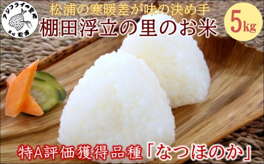 ã 什å7幎 æ°ç±³ ãæŸæµŠã®å¯æå·®ãå³ã®æ±ºãæ!ç¹Aè©äŸ¡ç²åŸã®åçš®ããªã€ã»ã®ããæ£ç°æµ®ç«ã®éã®ãç±³5kg( ã³ã¡ ç±³ ãªã€ã»ã®ã çœç±³ 粟米 åœç£ éæç¡æ )ãB4-133ã