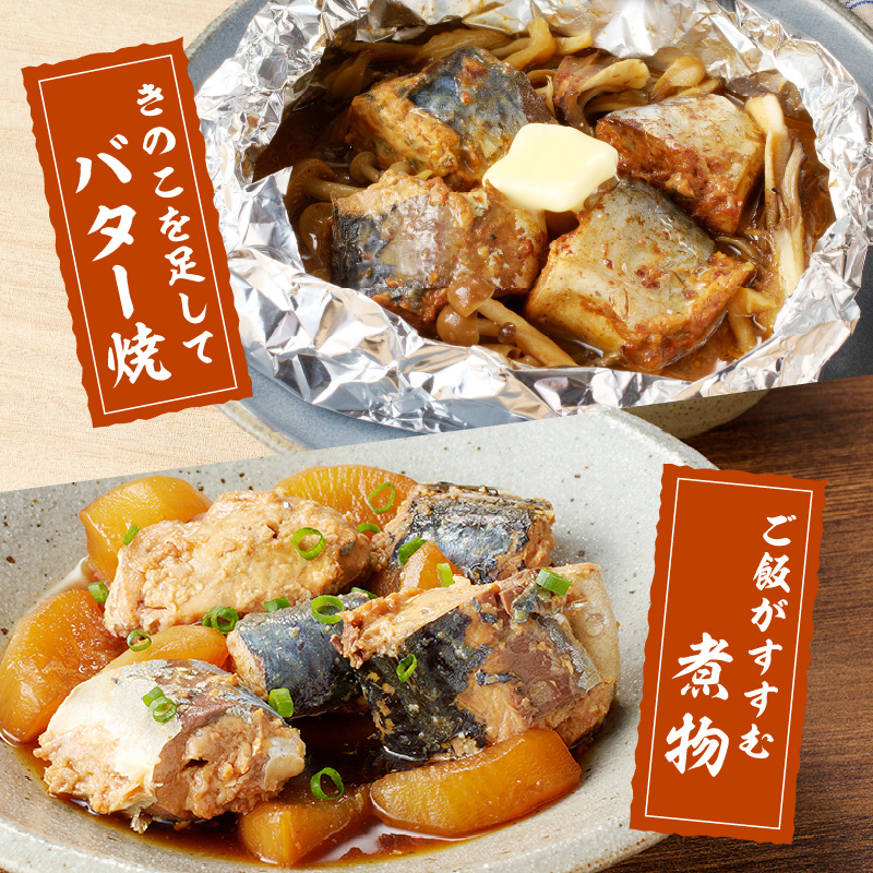 さば味噌煮缶セット(12缶)( さば サバ 鯖 さば缶 サバ缶 味噌煮 非常食 保存食 簡単調理 保存食 非常食 防災 備蓄 長期保存 )【B2-110】