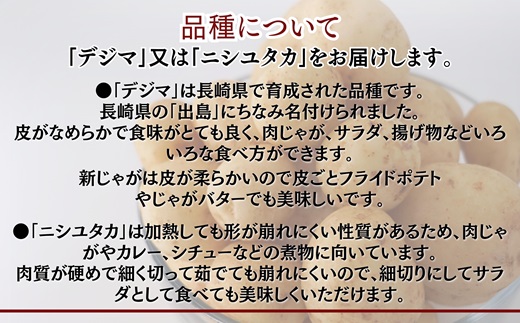 訳あり！農家直送のじゃがいも　お試し4kg【A6-020】 訳あり じゃが じゃがいも いも 肉じゃが サラダ フライドポテト 揚げ物 カレー シチュー 煮物 お試し