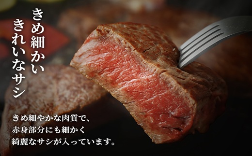 [全24回定期便]【和牛セレブ】長崎和牛一頭分買い ( 長崎和牛 和牛 セミオーダー 焼肉 すき焼き )【Z00-003】