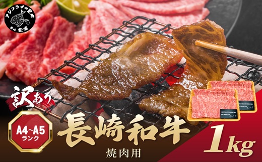 訳あり！【A4〜A5】長崎和牛焼肉用 500g×2P( 牛肉 牛 和牛 国産 焼肉 おすすめ 赤身 美味しい バーベキュー プレゼント ギフト 送料無料 お取り寄せ )【C2-050】
