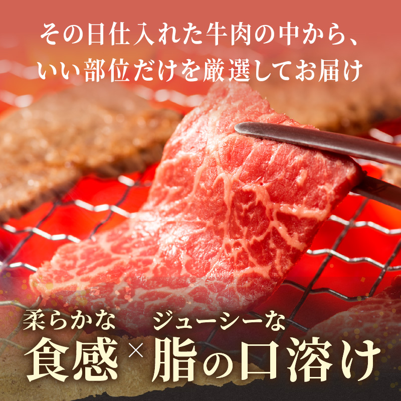 訳あり！【A4～A5】長崎和牛焼肉切り落とし(肩ロース・バラ)500g【B1-145】牛肉 おすすめ 長崎和牛 バーベキュー 焼肉 切り落とし 冷凍 国産 送料無料