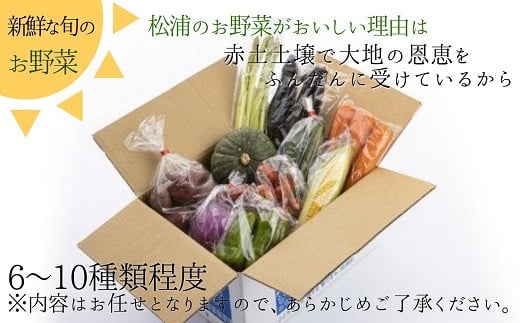 季節の野菜詰め合わせ( 季節 野菜 旬 安心 新玉ねぎ トマト じゃがいも 白菜 キャベツ きゅうり )【A9-009】