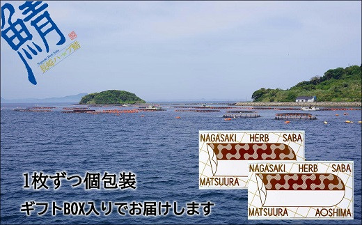 サバがこんなに美味しいなんて！長崎ハーブ鯖の「塩鯖」2枚( さば サバ 鯖 ハーブ 焼き魚 塩鯖 個包装 ふっくら ジューシー )【B1-126】